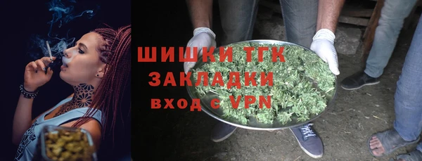 шишки Вязники