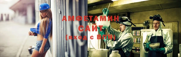 шишки Вязники