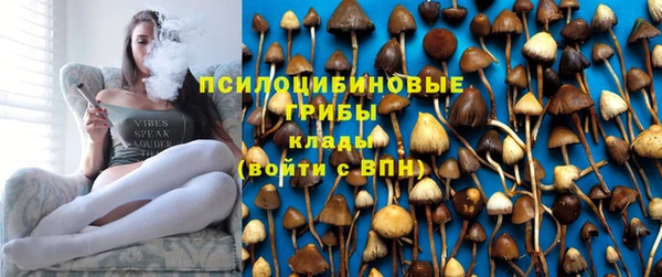 ECSTASY Тайга