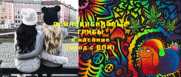 шишки Вязники