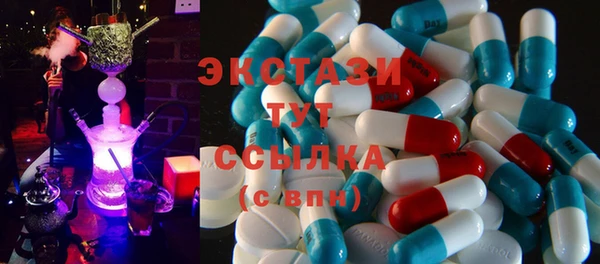ECSTASY Тайга