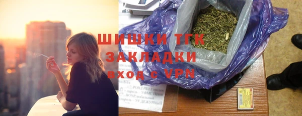ECSTASY Тайга